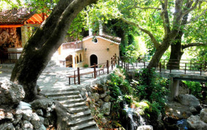 Εκδρομή στην Στενή Ευβοίας στο όρος Δίρφυ